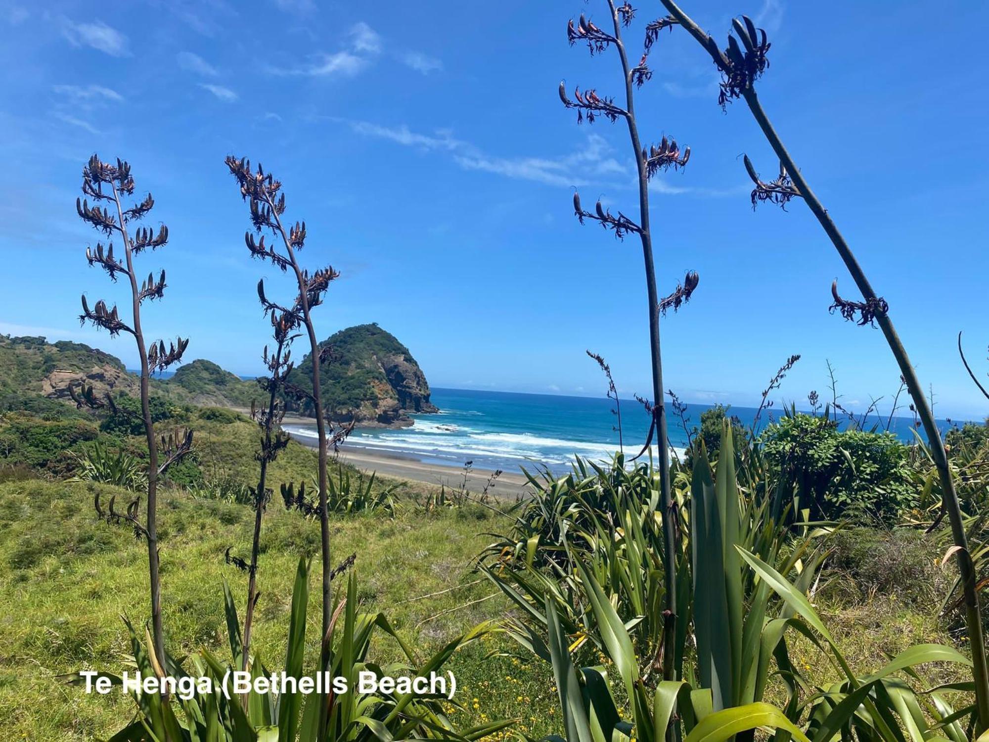 Te Henga Hideaway Villa Bethells Beach Exterior photo